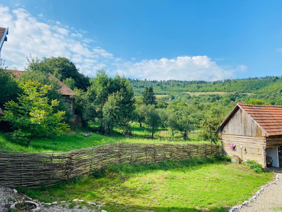 Slow Living Cottage, Dobolii De Sus ภายนอก รูปภาพ