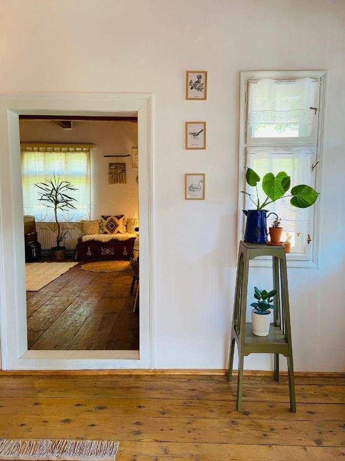 Slow Living Cottage, Dobolii De Sus ภายนอก รูปภาพ