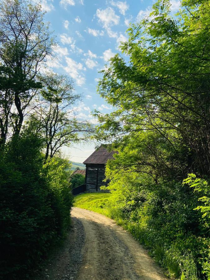 Slow Living Cottage, Dobolii De Sus ภายนอก รูปภาพ