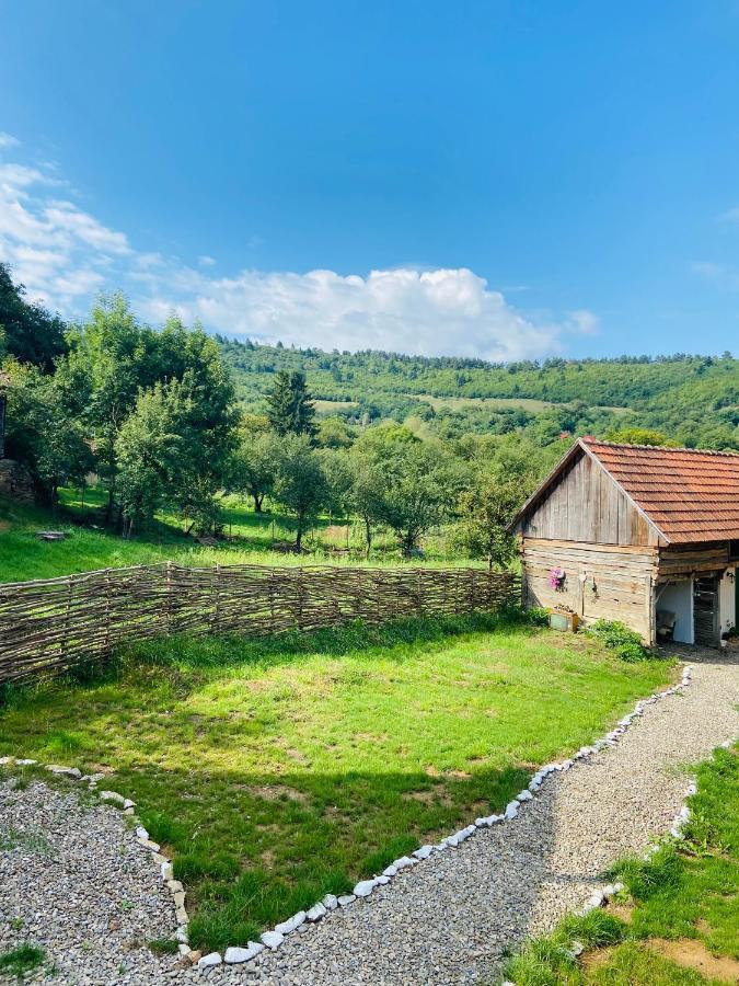 Slow Living Cottage, Dobolii De Sus ภายนอก รูปภาพ